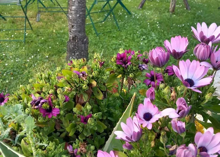 4keys House Superior Апартаменты Триполис